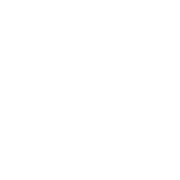 Esperienza diretta nel mondo digitale da oltre 20 anni